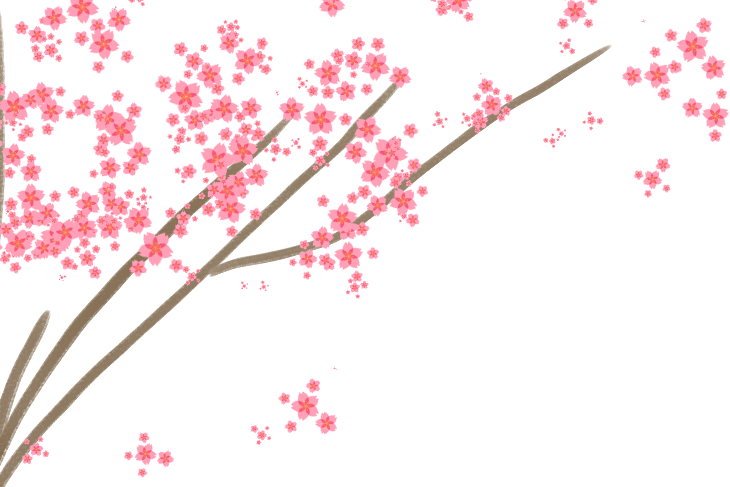 クリスタで桜の花ブラシを作成 対象定規なら花弁1枚描くだけ Freely